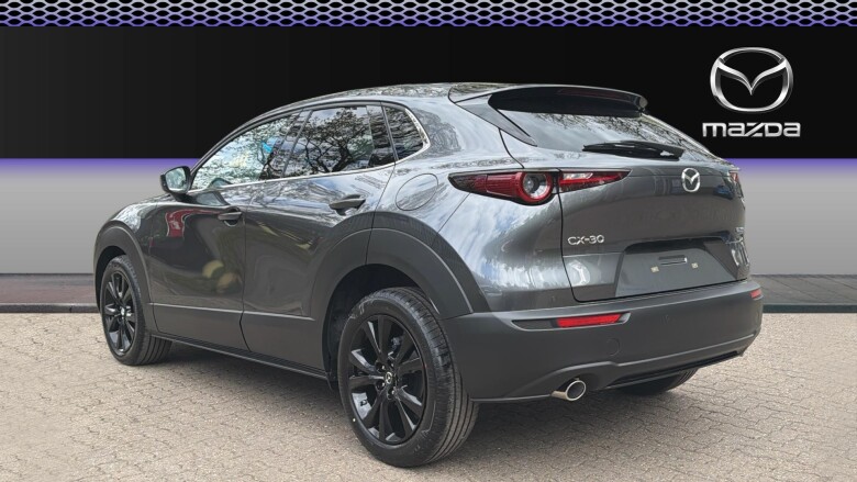 Mazda CX-30 2.5 e-Skyactiv G MHEV [140] Homura 5dr Auto Petrol Hatchback